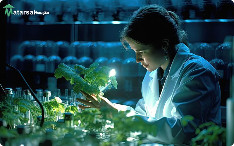آیا محصولات تراریخته برای بدن مضر است؟ - transgenic