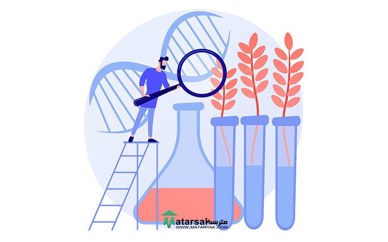 آیا محصولات تراریخته برای بدن مضر است؟ - transgenic