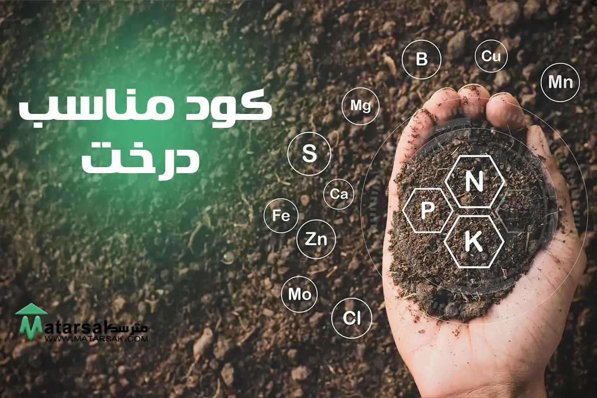 باغم کم بار میده چیکار کنم علت میوه ندادن درخت کود مناسب درخت کود میوه دهی مترسک