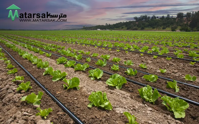 برای آبیاری باغ از چه لوله یا شلنگی استفاده کنیم راهنمای خرید لوله وشلنگ آبیاری