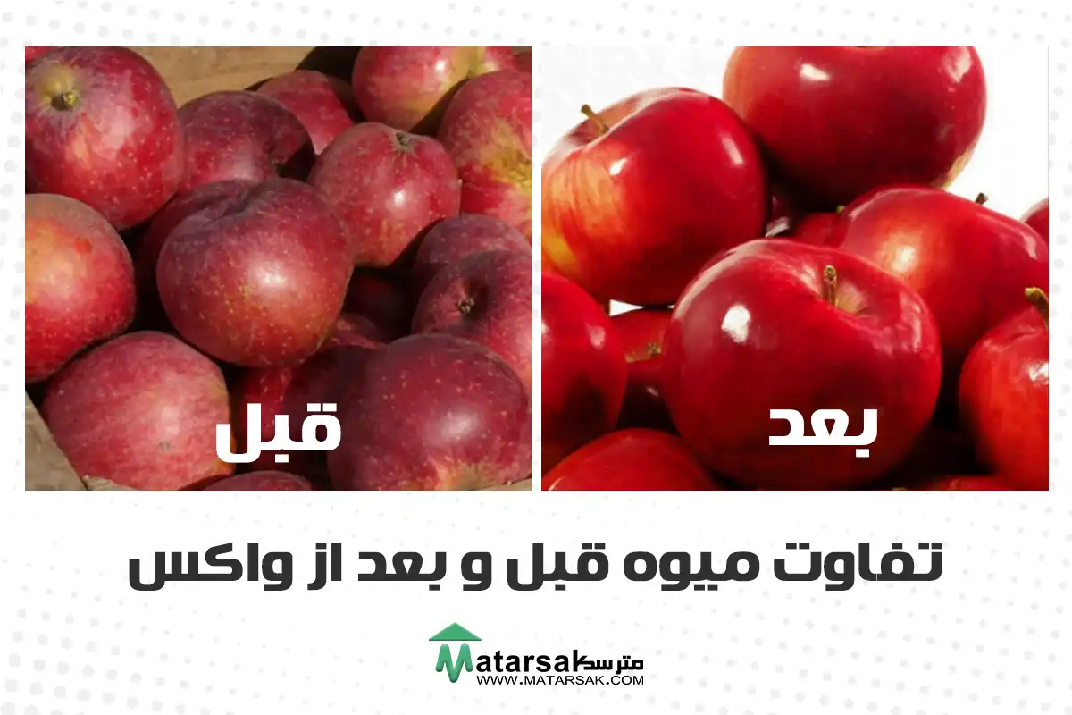 واکس میوه چیست آیا این واکس مضر است عوارض و مزایا واکس میوه واکس میوه سیب واکس میوه پرتغال مواد واکس میوه