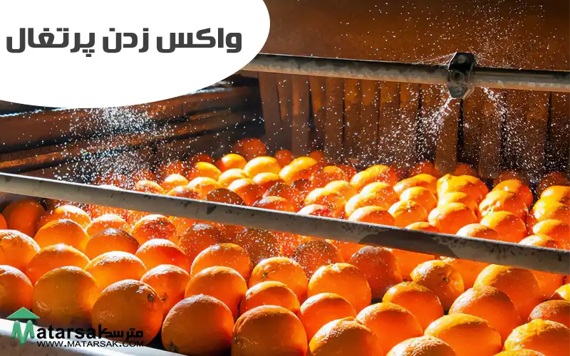 واکس میوه چیست آیا این واکس مضر است عوارض و مزایا واکس میوه واکس میوه سیب واکس میوه پرتغال مواد واکس میوه