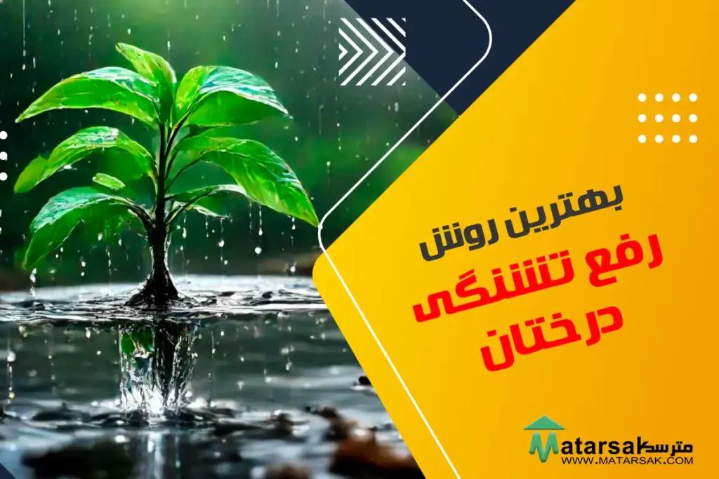راهنمای رفع تشنگی درختان رفع تشنگی درخت مترسک