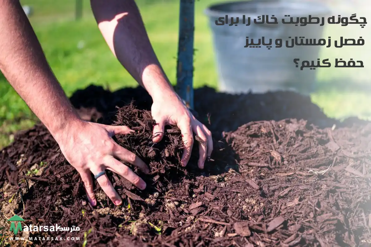 آبیاری در پاییز آبیاری پاییزه چگونه در پاییز درختان را آبیاری کنیم مترسک