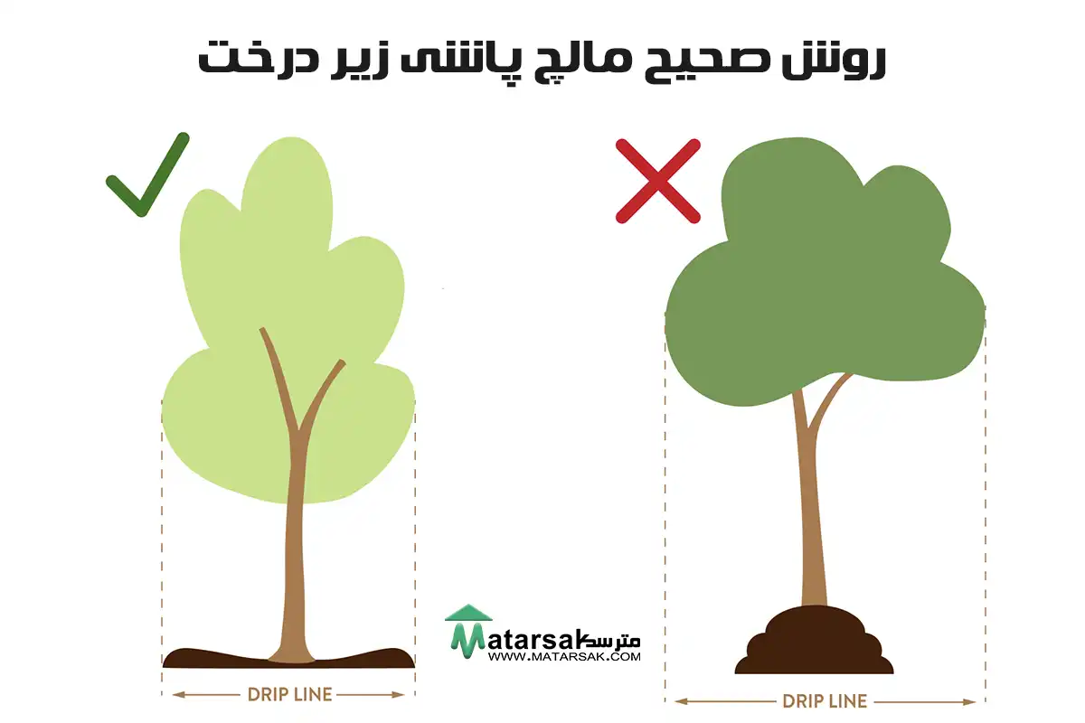 آموزش مالچ پاشی روش صحیح مالچ پاشی مالچ مصنوعی مالچ چیست مالچ پاشی مالچ درخت مترسک
