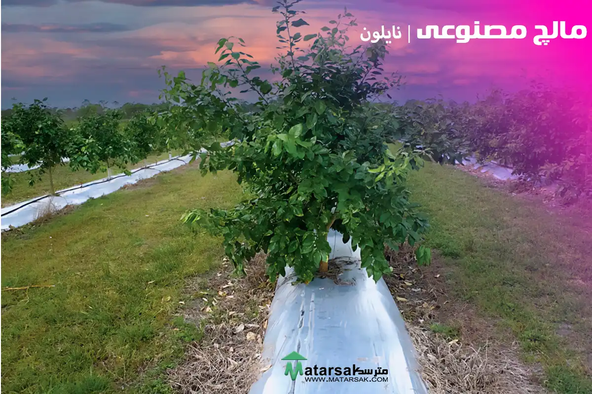 مالچ مصنوعی مالچ چیست مالچ پاشی مالچ درخت مترسک