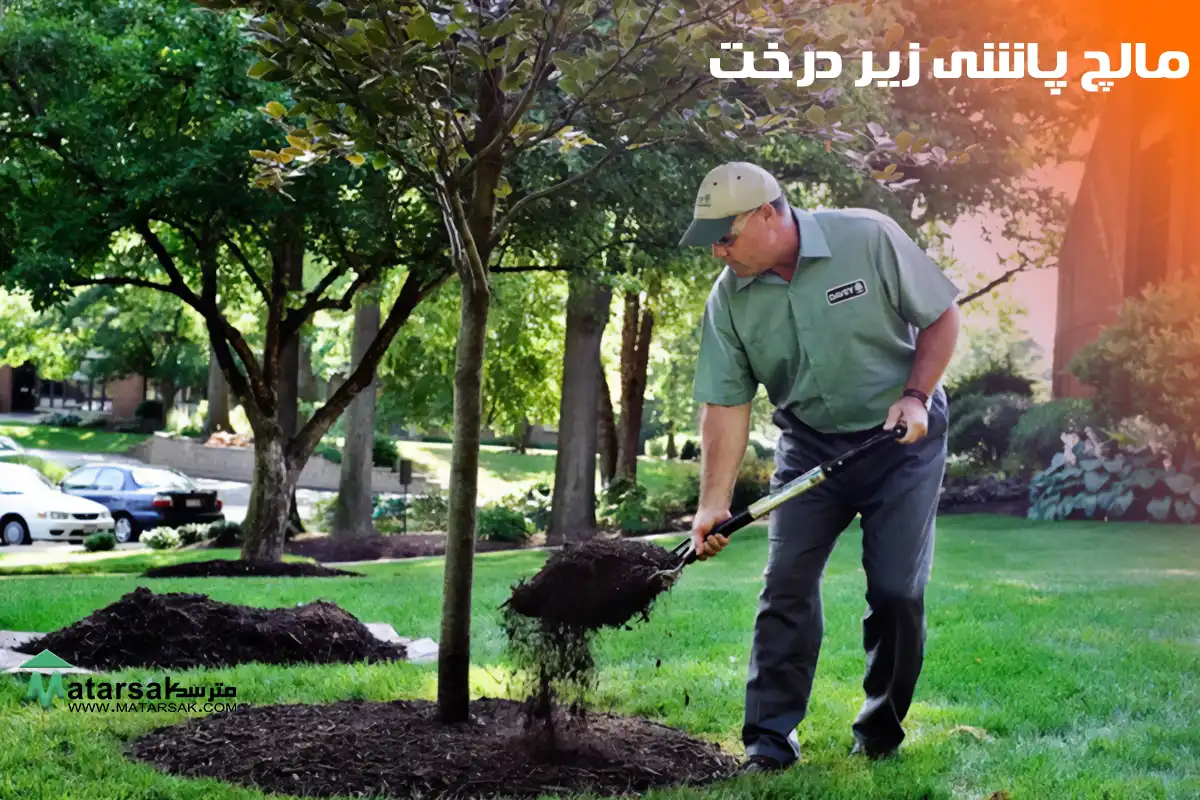 مالچ مصنوعی مالچ چیست مالچ پاشی مالچ درخت مترسک