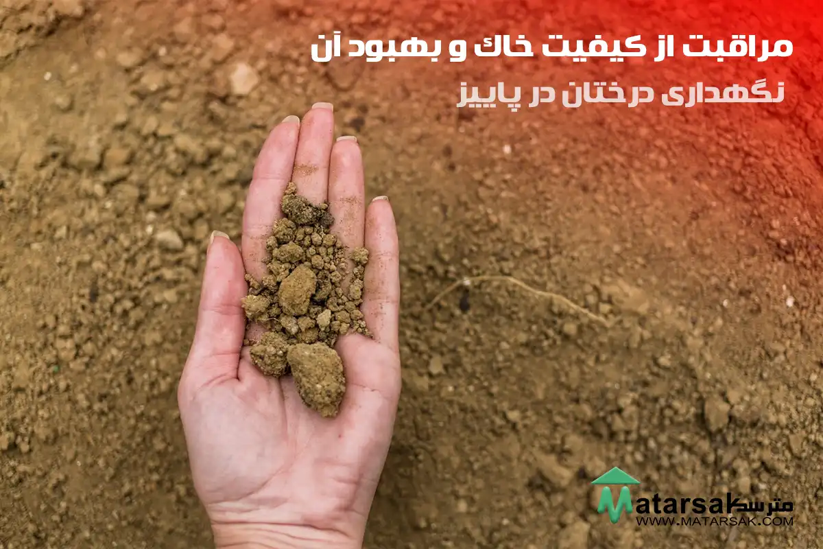 مراقبت از کیفیت خاک و بهبود آن چه کارهایی باید در پاییز برای درختان انجام دهیم نگهداری درختان در پاییز مترسک
