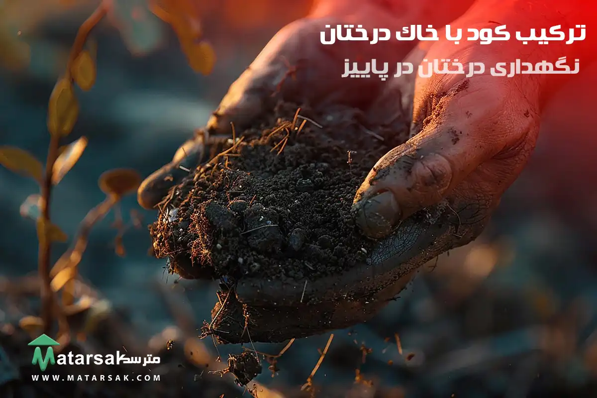 ترکیب کود با خاک درختان چه کارهایی باید در پاییز برای درختان انجام دهیم نگهداری درختان در پاییز مترسک