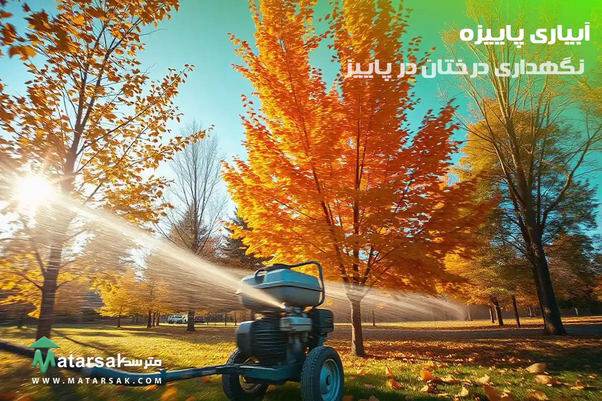 آبیاری پاییزه چه کارهایی باید در پاییز برای درختان انجام دهیم نگهداری درختان در پاییز مترسک